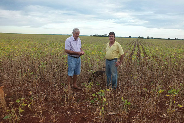 Claudio Pradela e Ercílio e as expectativas nesta safra de soja - Foto: Douradina News
