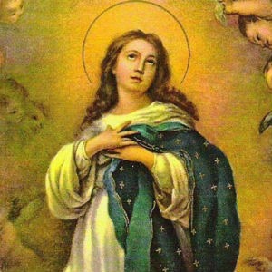 08/12 - A Igreja celebra: Nossa Senhora da Imaculada Conceição