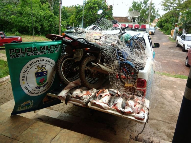 As infrações predominantes foram de pesca, com 447 autuações, seguidas por infrações contra a flora com 354 autuações. 161 autos de infrações foram confeccionados por poluição e 131 pessoas foram autuadas por infrações contra a fauna. Foto : Arquivo
