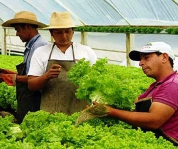 As mudanças referem-se à produção e comercialização de orgânicos