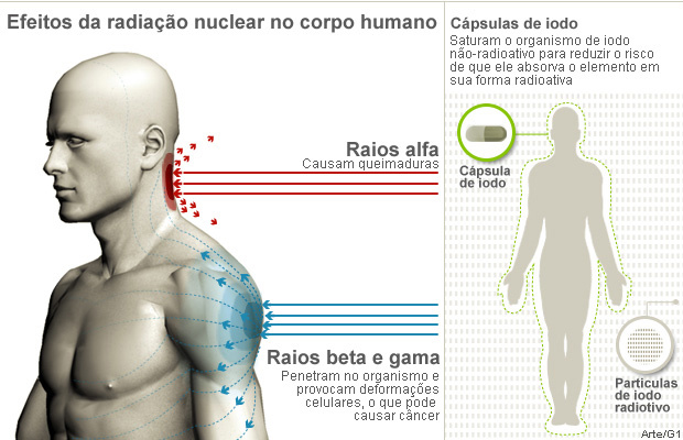 Arte / G1