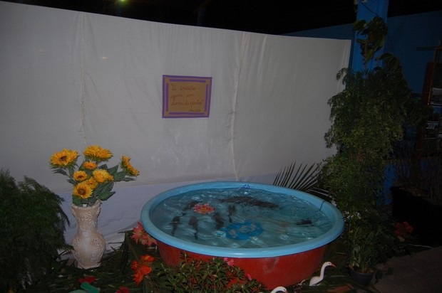 Foram expostas piscinas com peixes 