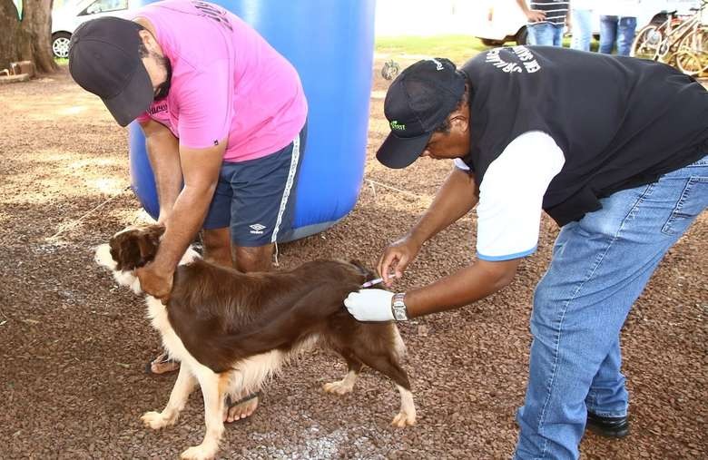 Muitos cães e gatos foram vacinados através das visitas do CCZ aos bairros - Crédito: Divulgação