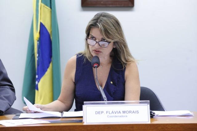 Cleia Viana/Câmara dos Deputados

Flávia Morais: proposta avança no sentido de estabelecer a obrigatoriedade