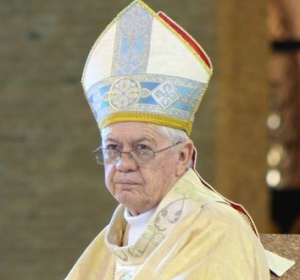 Papa Francisco nomeia bispo de Itumbiara (GO)