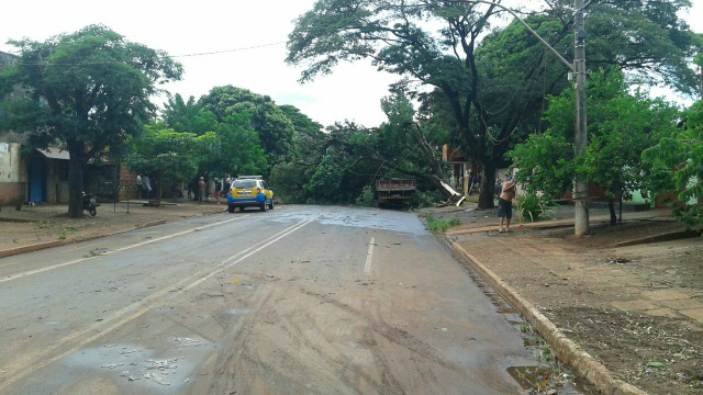 Jardim Cuiabazinho foi o bairro mais afetado pela chuva, que derrubou duas árvores em cima de dois veículos. Casas foram destalhadas. A energia no bairro voltou na madrugada de hoje (21/01).