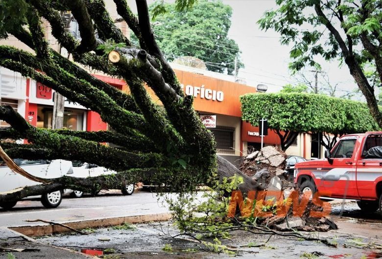 DOURADOS
Empresa é contratada para manejo preventivo de árvores com risco de queda
21 fevereiro 2022 - 09h08Por André Bento

Em 2021, o município de Dourados foi atingido por dois temporais, nos dias 15 e 23 de outubro
