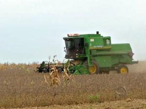 Na fazenda Monte Azul, em São Gabriel do Oeste, produtor Jânio Pinesso já iniciou a colheita da safra de soja (Foto: Reprodução/TV Morena)