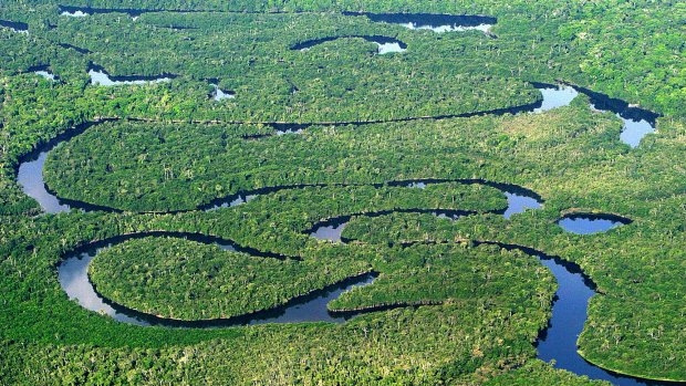 Vista aérea da floresta amazônica (Alex Almeida/Folhapress)