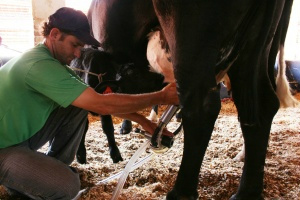 Evento que começa amanhã vai contar com atividades teóricas e práticas
Foto: David Magela
