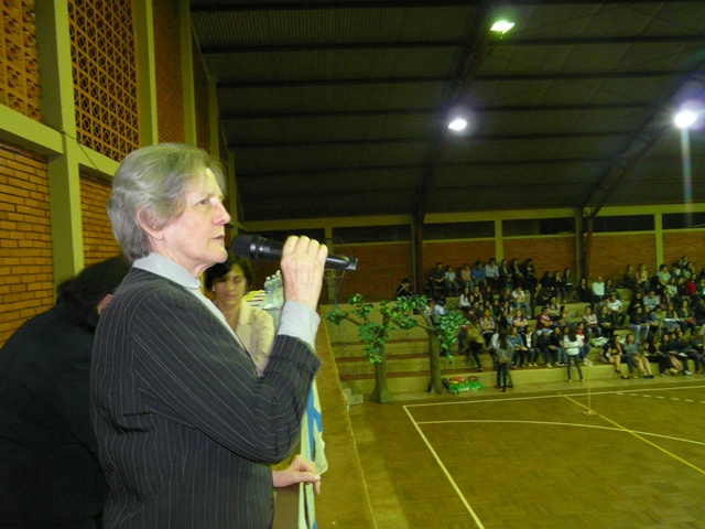 A apresentação das torcidas e a representação dos temas agitaram os espectadores, que interagiram com as equipes
