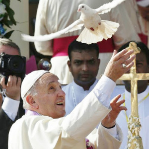 Papa institui Dia Mundial de Oração pelo Cuidado da Criação