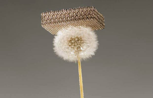 Imagem mostra placa de metal pousada sobre dente-de-leão sem danificá-lo. Uma equipe de pesquisadores da Universidade da Califórnia em Irvine, os laboratórios HRL e o California Institute of Technology anunciaram ter desenvolvido o que seria o metal mais leve do mundo, cerca de 100 vezes mais leve que o isopor. A descoberta vai ser detalhada em estudo publicado na 'Science' nesta sexta (Foto: Reuters)
