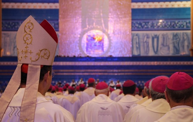 O episcopado no Brasil: 480 bispos e 307 membros efetivos da CNBB
