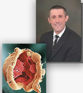 O renomado cientista clínico e pesquisador da Universidade de Westminster, em Londres, doutor Peter Hollands