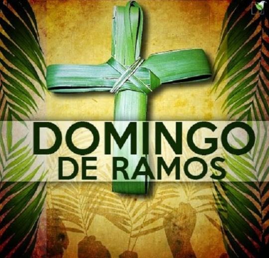 14/04 - A Igreja celebra: Domingo de Ramos