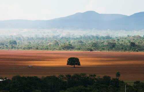 Foto: Marcelo Camargo/Agência Brasil