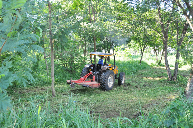 Prefeitura vai intensificar a fiscalização de terrenos baldios para manter a cidade limpa e livre de doenças

 

Foto: Arquivo
