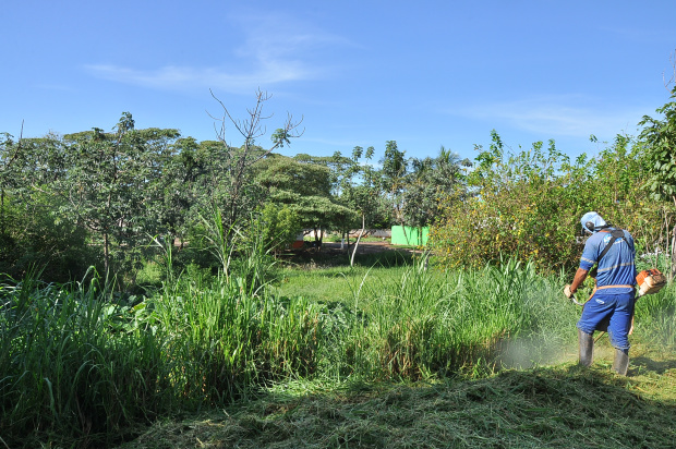 Prefeitura vai intensificar a fiscalização de terrenos baldios para manter a cidade limpa e livre de doenças

 

Foto: Arquivo