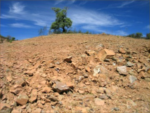Nações Unidas quer elaborar políticas de prevenção e adaptação às mudanças climáticas, nas áreas consideradas de risco.