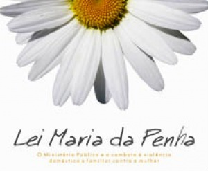 A Lei 11.340, conhecida com a Lei Maria da Penha, sancionada no dia 7 de maio de 2006, foi criada com a missão de proporcionar instrumentos adequados para enfrentar um problema que aflige grande parte das mulheres no Brasil: a violência de gênero