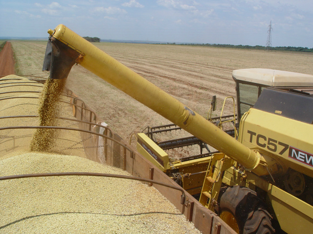 Com os dias de sol, muitos produtores já iniciaram a colheita- Foto: Ademir Almeida/Arquivo/Dourados News