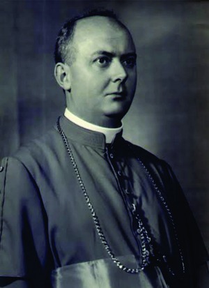 Dom Carlos Schmitt, OFM. Imagem: Diocese de Dourados