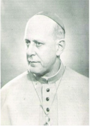 Dom Teodardo Leitz, OFM. Imagem: Diocese de Dourados