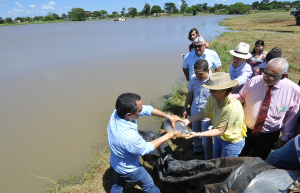 Foto : A. Frota/Assecom 
: Peixes para o torneio foram soltos no Parque Primo Vicente, no Grande Água Boa, e para a pesca livre no Parque Antenor Martins
