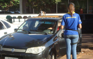 Justiça suspende cobrança do estacionamento rotativo em Dourados