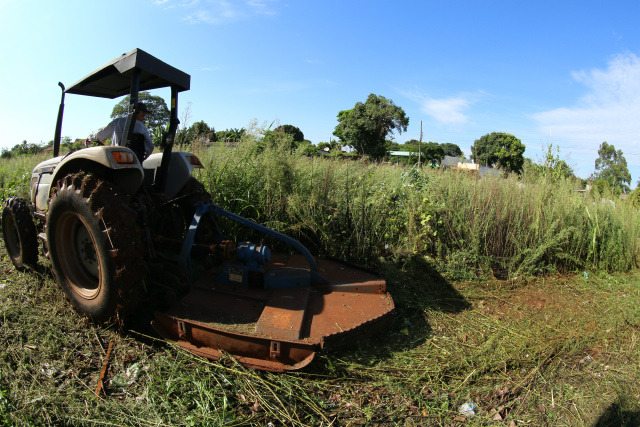 Foto: A. Frota
Limpeza de terrenos baldios avança para várias regiões da cidade