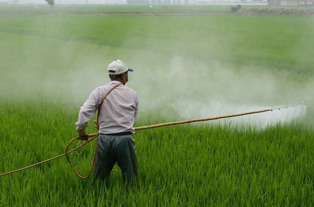 Consultas anteriores pediam maior clareza nas obrigações e a aproximação dos critérios de avaliação com os do Sistema GHS - Crédito: Pixabay
  

  (adsbygoogle = window.adsbygoogle || []).push({});
