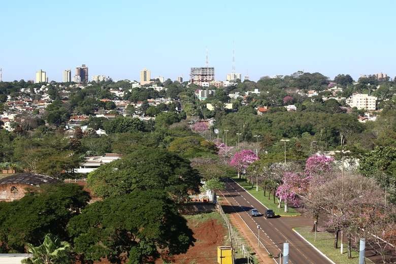 Diagnóstico da arborização urbana de Dourados será apresentado nesta quinta, no plenário da Câmara Municipal - Crédito: Arquivo/Assecom
  

  (adsbygoogle = window.adsbygoogle || []).push({});
