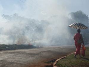 Queimadas fazem reduzir a umidade do ar causando poluição ao meio ambiente e risco a saúde pública
