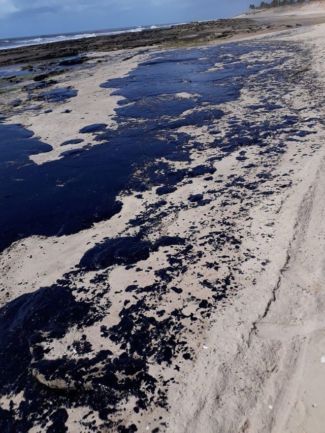 Resíduos de óleo em praias do Nordeste - Divulgação/Agência Petrobras