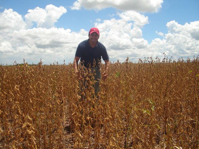 Agricultura brasileira deve exportar 47% da próxima safra, um volume recorde de 39 milhões de toneladas da oleaginosa. No milho, embarques serão recordes ainda neste ano