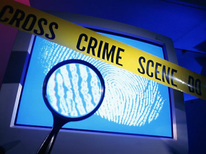 Desvios de dinheiro em sites de bancos,  invasão de e-mails, troca e divulgação de material de pornografia infantil são apenas alguns exemplos de crimes que não precisam mais ser executados na calada da noite
